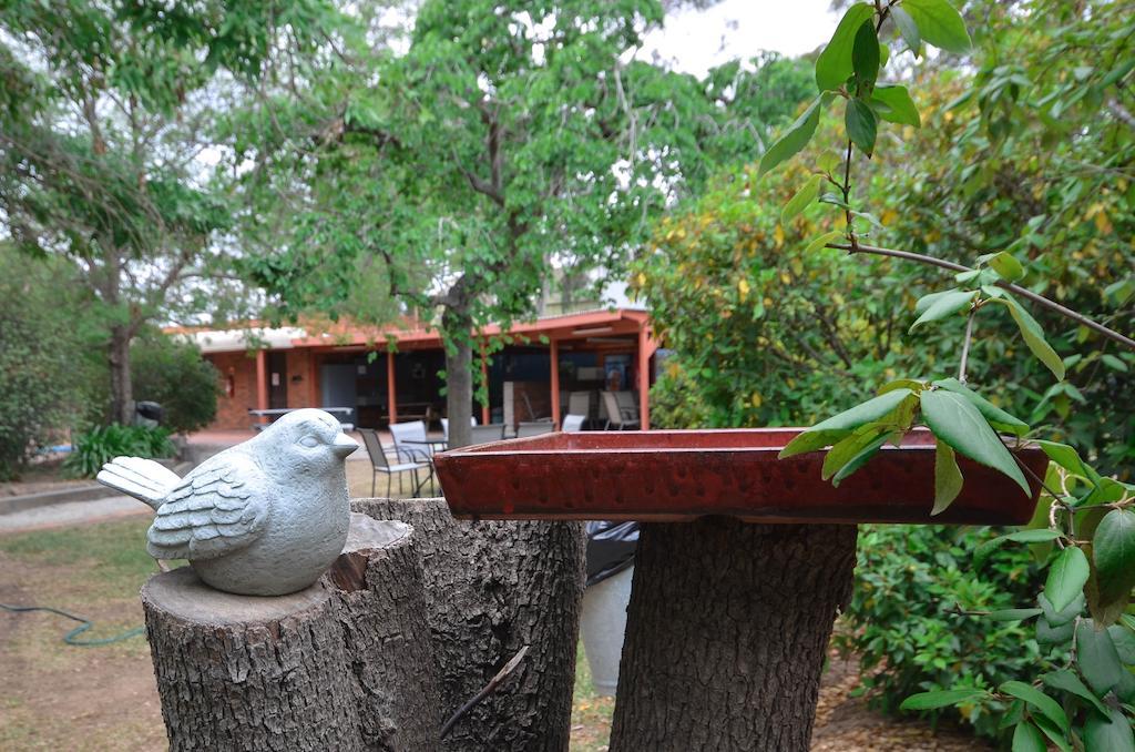 River Country Inn (Adults Only) Moama Bagian luar foto